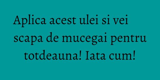 Aplica acest ulei si vei scapa de mucegai pentru totdeauna! Iata cum!
