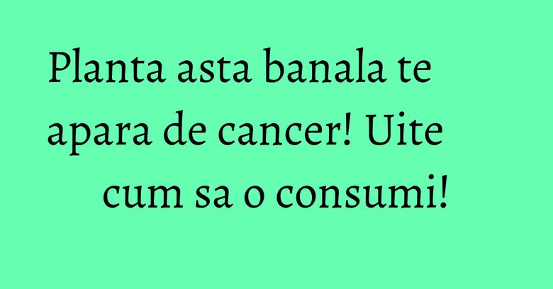 Planta asta banala te apara de cancer! Uite cum sa o consumi! Planta asta banala te apara de cancer! Uite cum sa o consumi!