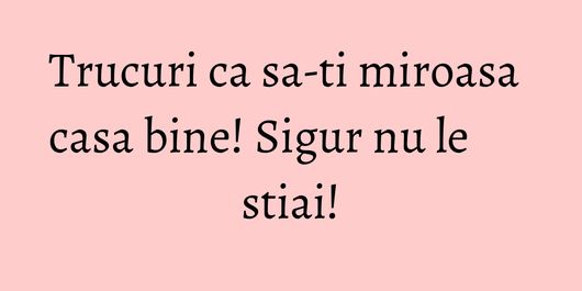 Trucuri ca sa-ti miroasa casa bine! Sigur nu le stiai!