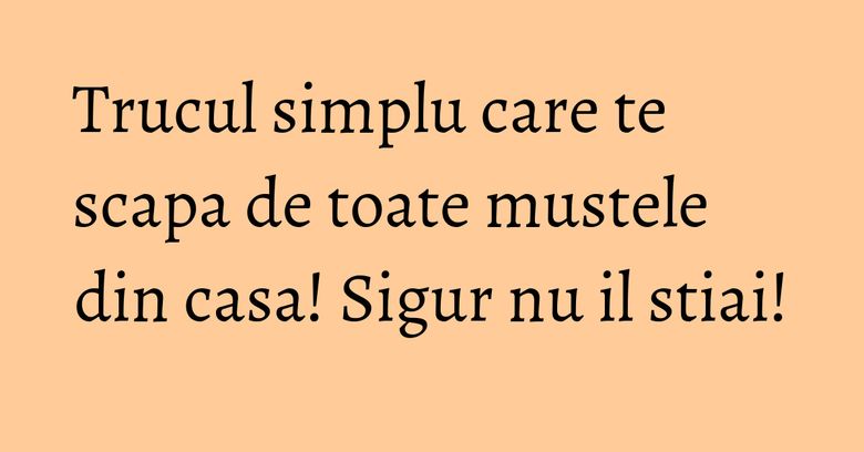 Trucul simplu care te scapa de toate mustele din casa! Sigur nu il stiai!