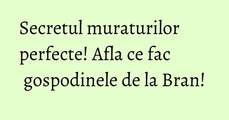 Secretul muraturilor perfecte! Afla ce fac gospodinele de la Bran! Secretul muraturilor perfecte! Afla ce fac gospodinele de la Bran!