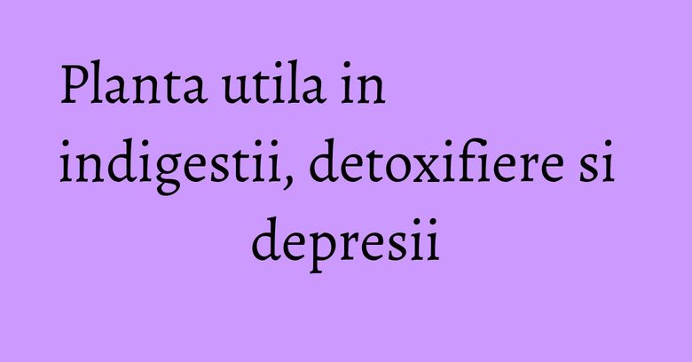 Planta utila in indigestii, detoxifiere si depresii Planta utila in indigestii, detoxifiere si depresii