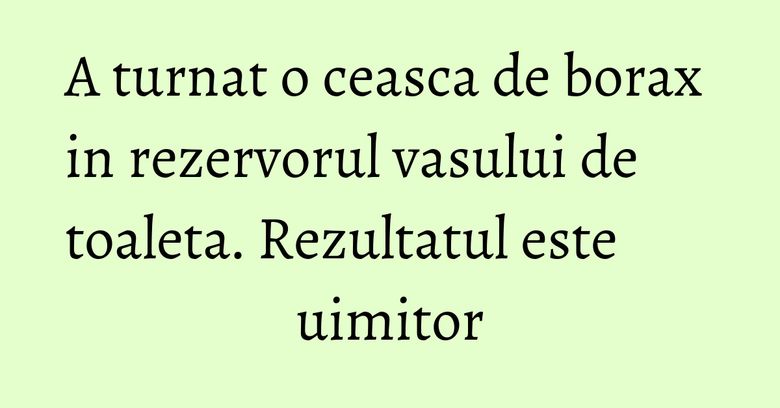 A turnat o ceasca de borax in rezervorul vasului de toaleta. Rezultatul este uimitor A turnat o ceasca de borax in rezervorul vasului de toaleta. Rezultatul este uimitor