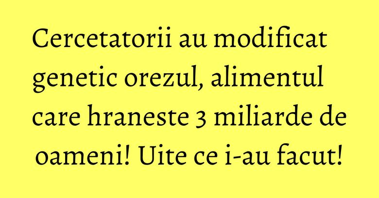 Cercetatorii au modificat genetic orezul, alimentul care hraneste 3 miliarde de oameni! Uite ce i-au facut! Cercetatorii au modificat genetic orezul, alimentul care hraneste 3 miliarde de oameni! Uite ce i-au facut!