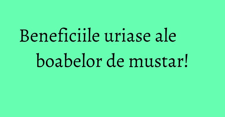 Beneficiile uriase ale boabelor de mustar! Beneficiile uriase ale boabelor de mustar!