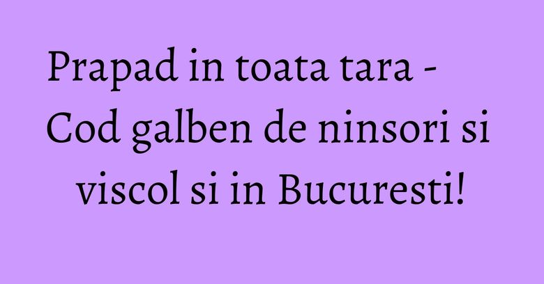 Prapad in toata tara - Cod galben de ninsori si viscol si in Bucuresti! Prapad in toata tara - Cod galben de ninsori si viscol si in Bucuresti!