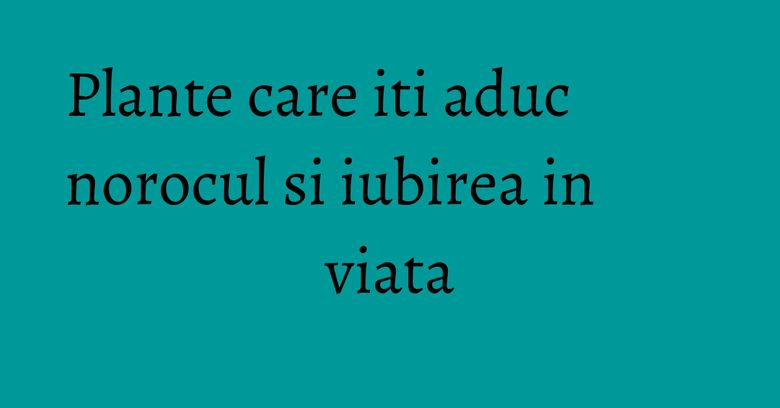 Plante care iti aduc norocul si iubirea in viata