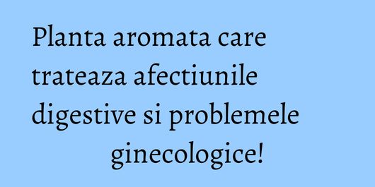 Planta aromata care trateaza afectiunile digestive si problemele ginecologice!