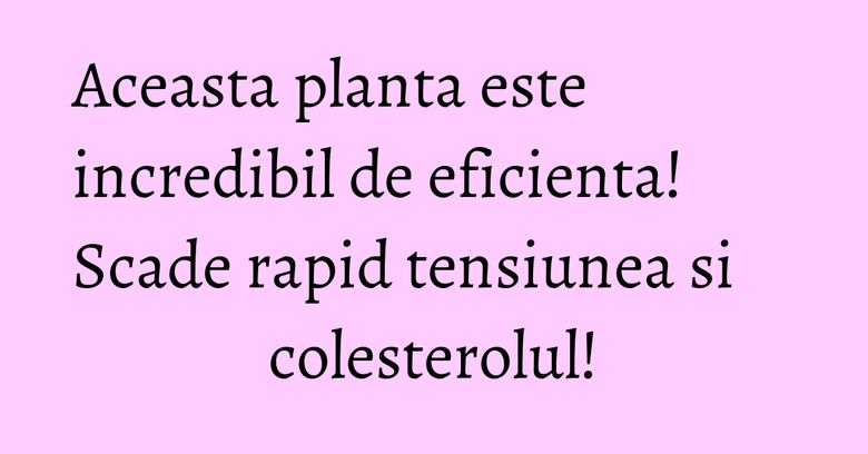 Aceasta planta este incredibil de eficienta! Scade rapid tensiunea si colesterolul!