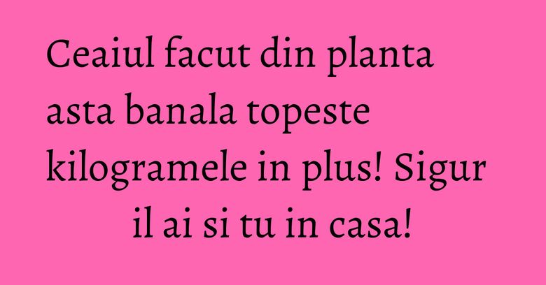 Ceaiul facut din planta asta banala topeste kilogramele in plus! Sigur il ai si tu in casa! Ceaiul facut din planta asta banala topeste kilogramele in plus! Sigur il ai si tu in casa!