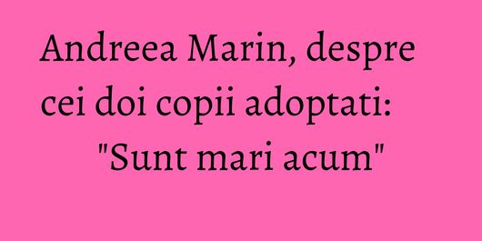 Andreea Marin, despre cei doi copii adoptati: 