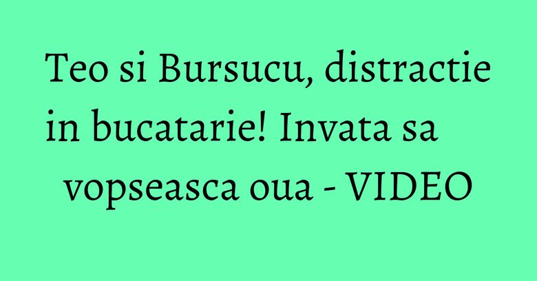 Teo si Bursucu, distractie in bucatarie! Invata sa vopseasca oua - VIDEO Teo si Bursucu, distractie in bucatarie! Invata sa vopseasca oua - VIDEO