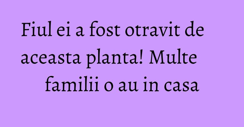 Fiul ei a fost otravit de aceasta planta! Multe familii o au in casa