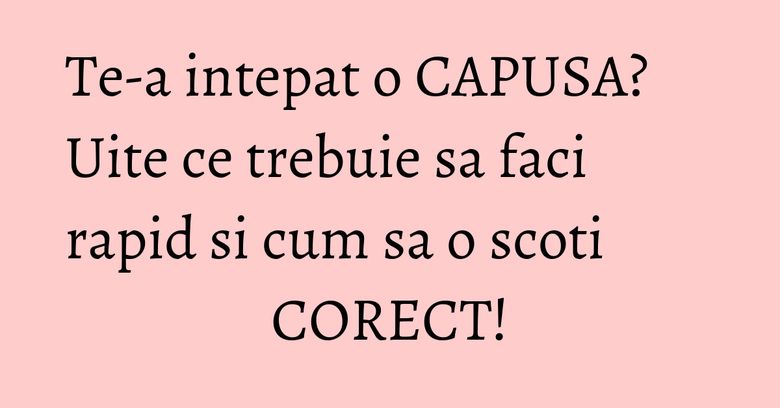 Te-a intepat o CAPUSA? Uite ce trebuie sa faci rapid si cum sa o scoti CORECT! Te-a intepat o CAPUSA? Uite ce trebuie sa faci rapid si cum sa o scoti CORECT!