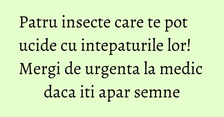 Patru insecte care te pot ucide cu intepaturile lor! Mergi de urgenta la medic daca iti apar semne
