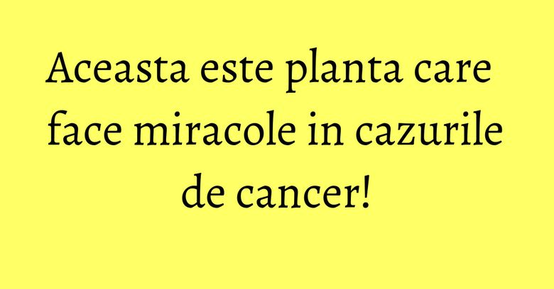 Aceasta este planta care face miracole in cazurile de cancer! Aceasta este planta care face miracole in cazurile de cancer!