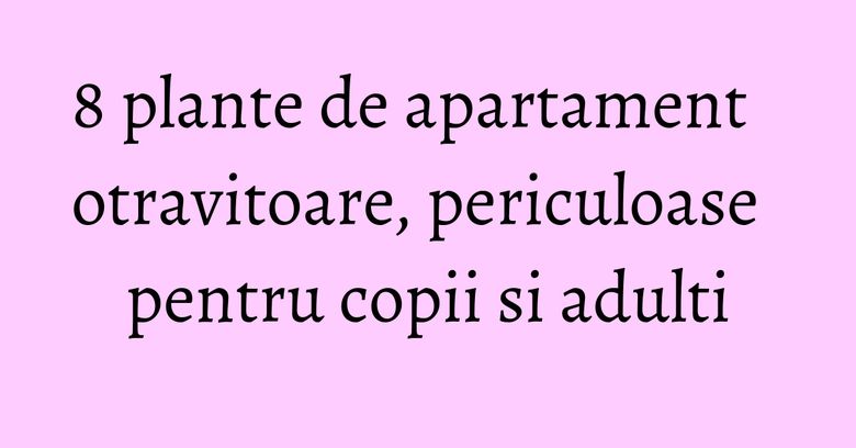 8 plante de apartament otravitoare, periculoase pentru copii si adulti 8 plante de apartament otravitoare, periculoase pentru copii si adulti