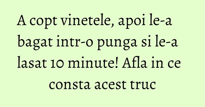 A copt vinetele, apoi le-a bagat intr-o punga si le-a lasat 10 minute! Afla in ce consta acest truc A copt vinetele, apoi le-a bagat intr-o punga si le-a lasat 10 minute! Afla in ce consta acest truc