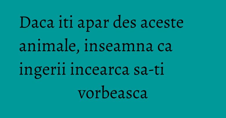 Daca iti apar des aceste animale, inseamna ca ingerii incearca sa-ti vorbeasca