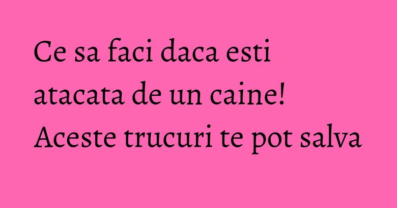 Ce sa faci daca esti atacata de un caine! Aceste trucuri te pot salva Ce sa faci daca esti atacata de un caine! Aceste trucuri te pot salva