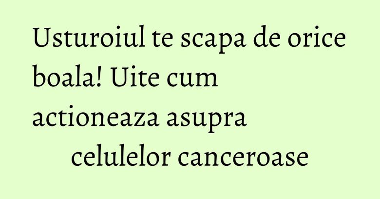 Usturoiul te scapa de orice boala! Uite cum actioneaza asupra celulelor canceroase Usturoiul te scapa de orice boala! Uite cum actioneaza asupra celulelor canceroase