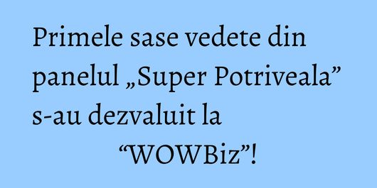 Primele sase vedete din panelul „Super Potriveala” s-au dezvaluit la “WOWBiz”!