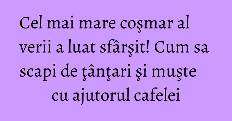 Cel mai mare coşmar al verii a luat sfârşit! Cum sa scapi de ţânţari şi muşte cu ajutorul cafelei Cel mai mare coşmar al verii a luat sfârşit! Cum sa scapi de ţânţari şi muşte cu ajutorul cafelei