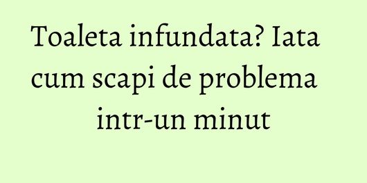 Toaleta infundata? Iata cum scapi de problema intr-un minut