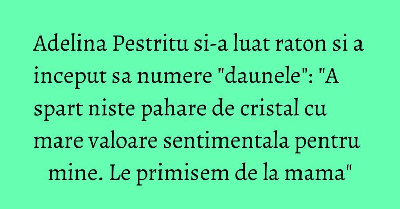 Adelina Pestritu si-a luat raton si a inceput sa numere "daunele": "A spart niste pahare de cristal cu mare valoare sentimentala pentru mine. Le primisem de la mama" Adelina Pestritu si-a luat raton si a inceput sa numere "daunele": "A spart niste pahare de cristal cu mare valoare sentimentala pentru mine. Le primisem de la mama"