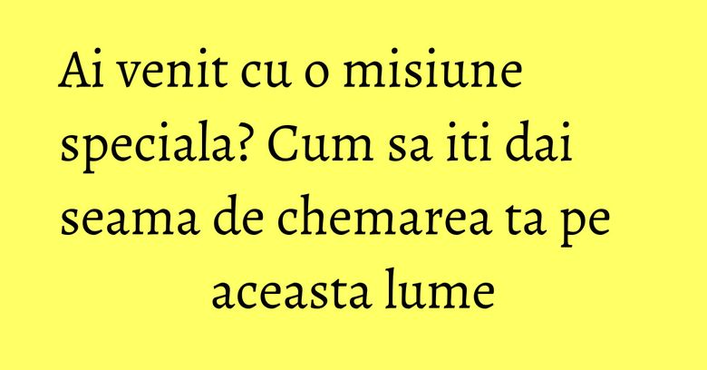 Ai venit cu o misiune speciala? Cum sa iti dai seama de chemarea ta pe aceasta lume Ai venit cu o misiune speciala? Cum sa iti dai seama de chemarea ta pe aceasta lume