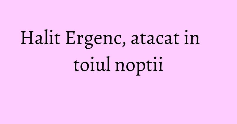Halit Ergenc, atacat in toiul noptii Halit Ergenc, atacat in toiul noptii