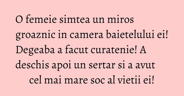 O femeie simtea un miros groaznic in camera baietelului ei! Degeaba a facut curatenie! A deschis apoi un sertar si a avut cel mai mare soc al vietii ei!