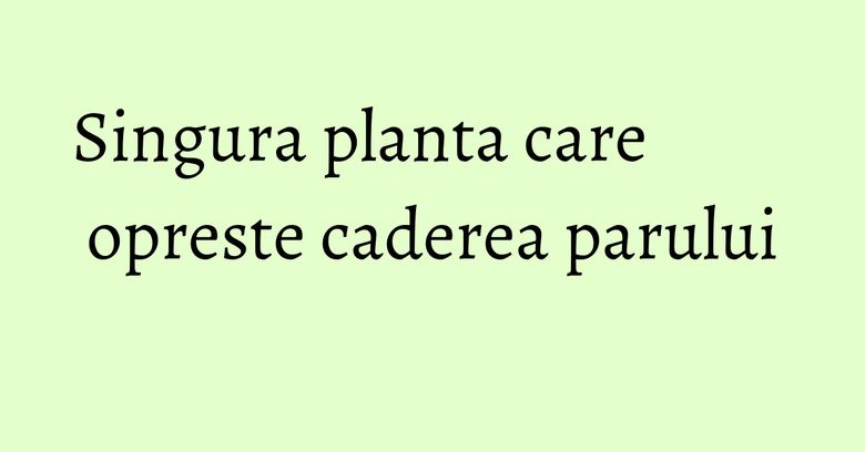 Singura planta care opreste caderea parului