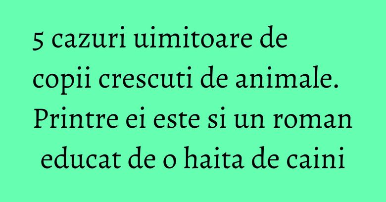 5 cazuri uimitoare de copii crescuti de animale. Printre ei este si un roman educat de o haita de caini 5 cazuri uimitoare de copii crescuti de animale. Printre ei este si un roman educat de o haita de caini