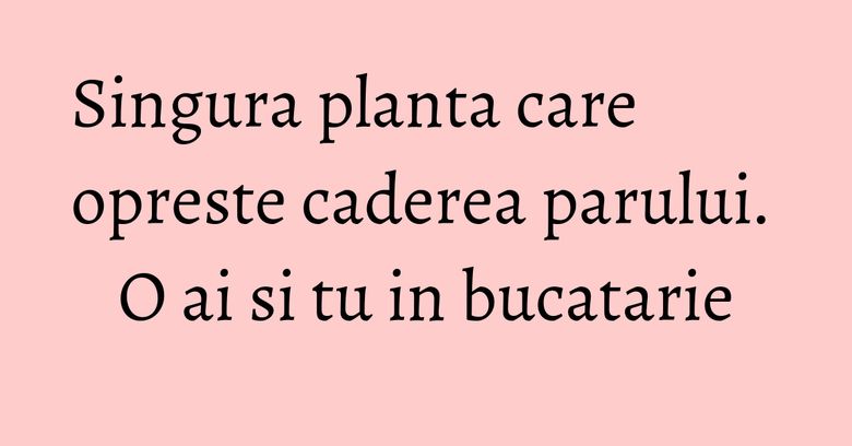 Singura planta care opreste caderea parului. O ai si tu in bucatarie Singura planta care opreste caderea parului. O ai si tu in bucatarie