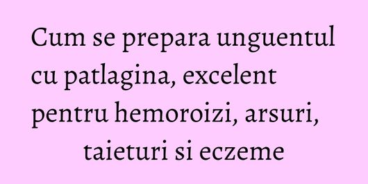 Cum se prepara unguentul cu patlagina, excelent pentru hemoroizi, arsuri, taieturi si eczeme