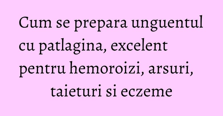 Cum se prepara unguentul cu patlagina, excelent pentru hemoroizi, arsuri, taieturi si eczeme Cum se prepara unguentul cu patlagina, excelent pentru hemoroizi, arsuri, taieturi si eczeme