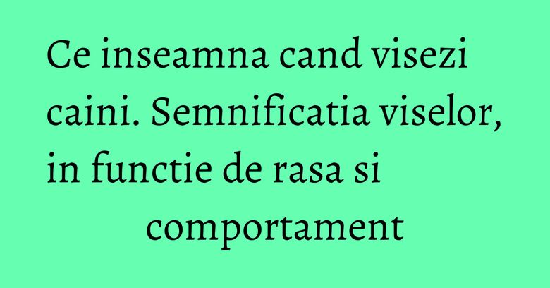 Ce inseamna cand visezi caini. Semnificatia viselor, in functie de rasa si comportament Ce inseamna cand visezi caini. Semnificatia viselor, in functie de rasa si comportament