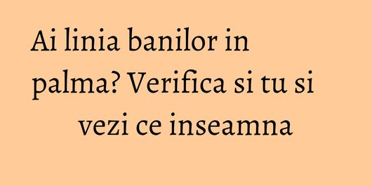 Ai linia banilor in palma? Verifica si tu si vezi ce inseamna