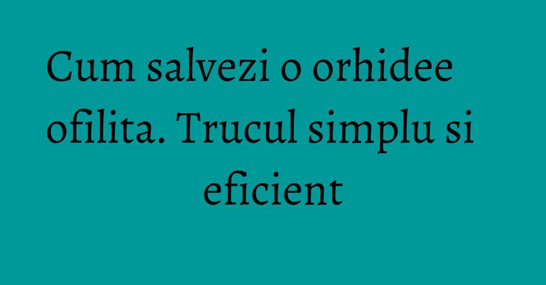 Cum salvezi o orhidee ofilita. Trucul simplu si eficient