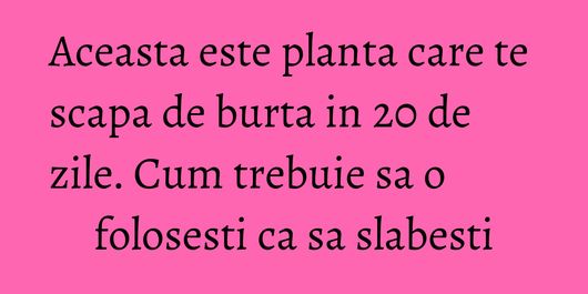 Aceasta este planta care te scapa de burta in 20 de zile. Cum trebuie sa o folosesti ca sa slabesti