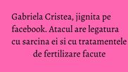 Aceasta este discutia aprinsa dintre Gabriela Cristea si una dintre fanele ei de pe facebook