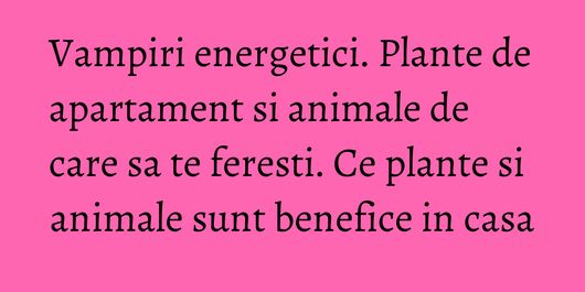 Vampiri energetici. Plante de apartament si animale de care sa te feresti. Ce plante si animale sunt benefice in casa