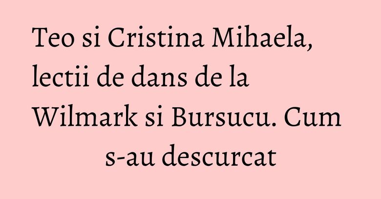 Teo si Cristina Mihaela, lectii de dans de la Wilmark si Bursucu. Cum s-au descurcat
