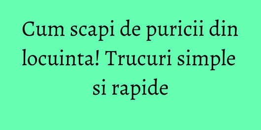 Cum scapi de puricii din locuinta! Trucuri simple si rapide