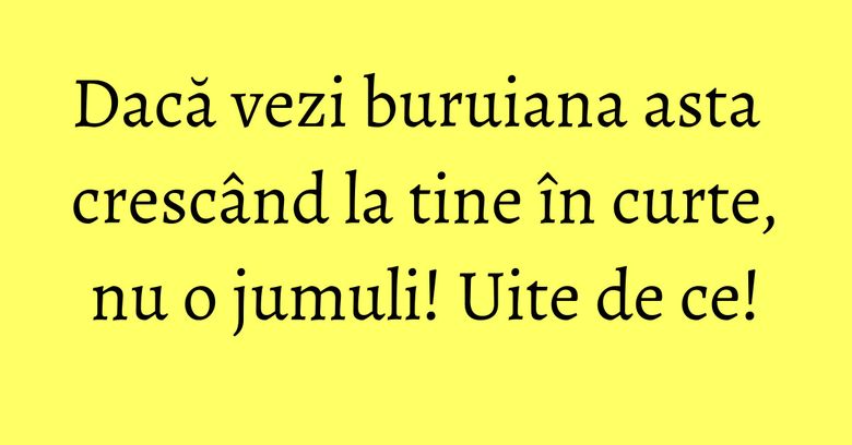 Dacă vezi buruiana asta crescând la tine în curte, nu o jumuli! Uite de ce! Dacă vezi buruiana asta crescând la tine în curte, nu o jumuli! Uite de ce!