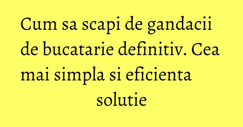 Cum sa scapi de gandacii de bucatarie definitiv. Cea mai simpla si eficienta solutie