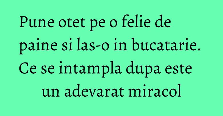 Pune otet pe o felie de paine si las-o in bucatarie. Ce se intampla dupa este un adevarat miracol Pune otet pe o felie de paine si las-o in bucatarie. Ce se intampla dupa este un adevarat miracol