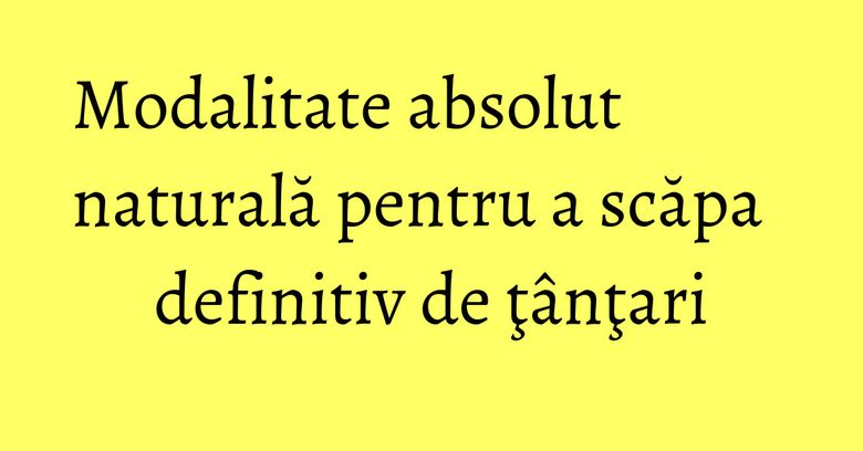 Modalitate absolut naturală pentru a scăpa definitiv de ţânţari Modalitate absolut naturală pentru a scăpa definitiv de ţânţari