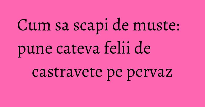 Cum sa scapi de muste: pune cateva felii de castravete pe pervaz Cum sa scapi de muste: pune cateva felii de castravete pe pervaz